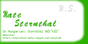 mate sternthal business card